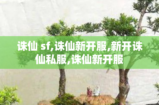 诛仙 sf,诛仙新开服,新开诛仙私服,诛仙新开服