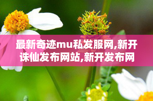 最新奇迹mu私发服网,新开诛仙发布网站,新开发布网,新开诛仙发布网站