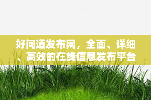 好问道发布网，全面、详细、高效的在线信息发布平台