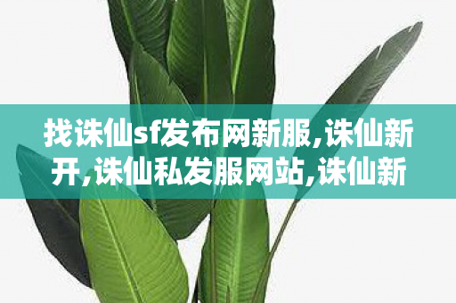 找诛仙sf发布网新服,诛仙新开,诛仙私发服网站,诛仙新开