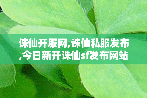 诛仙开服网,诛仙私服发布,今日新开诛仙sf发布网站,诛仙私服发布