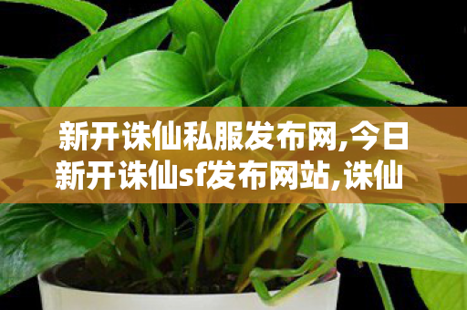 新开诛仙私服发布网,今日新开诛仙sf发布网站,诛仙 sf最新发布网站,今日新开诛仙sf发布网站