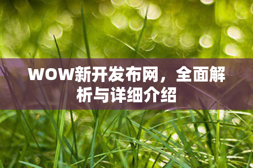 WOW新开发布网，全面解析与详细介绍