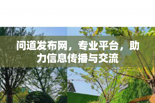 问道发布网，专业平台，助力信息传播与交流