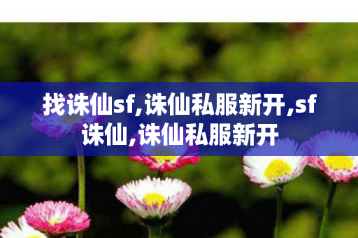 找诛仙sf,诛仙私服新开,sf诛仙,诛仙私服新开