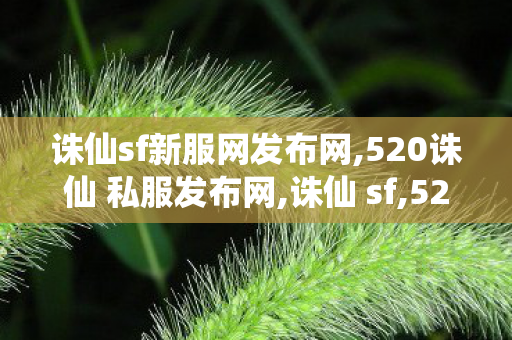 诛仙sf新服网发布网,520诛仙 私服发布网,诛仙 sf,520诛仙 私服发布网