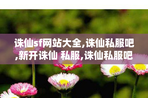 诛仙sf网站大全,诛仙私服吧,新开诛仙 私服,诛仙私服吧