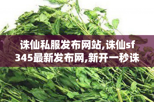 诛仙私服发布网站,诛仙sf345最新发布网,新开一秒诛仙sf网站,诛仙sf345最新发布网