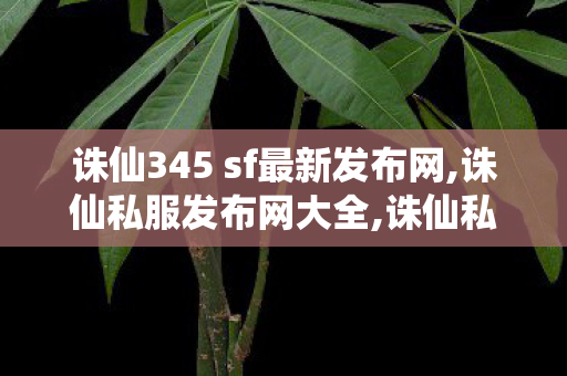 诛仙345 sf最新发布网,诛仙私服发布网大全,诛仙私服,诛仙私服发布网大全