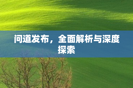 问道发布，全面解析与深度探索