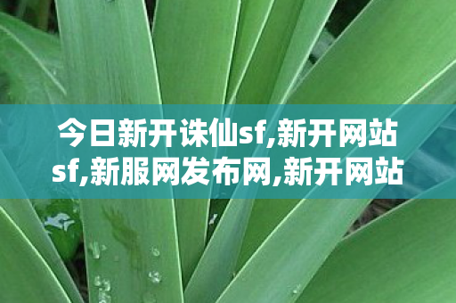 今日新开诛仙sf,新开网站sf,新服网发布网,新开网站sf