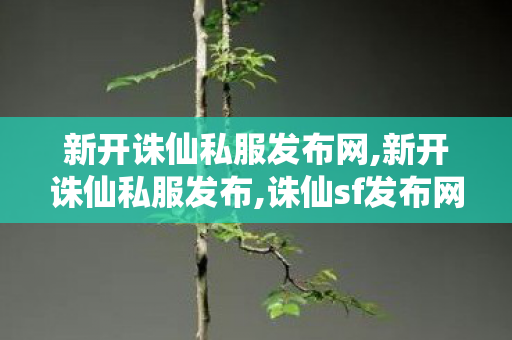 新开诛仙私服发布网,新开诛仙私服发布,诛仙sf发布网,新开诛仙私服发布