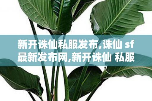 新开诛仙私服发布,诛仙 sf最新发布网,新开诛仙 私服,诛仙 sf最新发布网