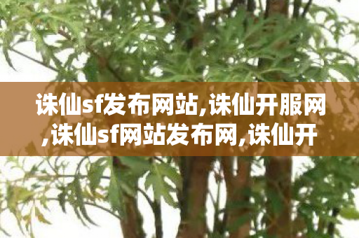 诛仙sf发布网站,诛仙开服网,诛仙sf网站发布网,诛仙开服网