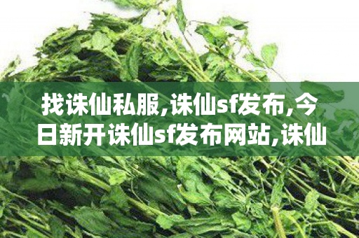 找诛仙私服,诛仙sf发布,今日新开诛仙sf发布网站,诛仙sf发布
