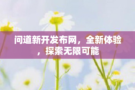 问道新开发布网，全新体验，探索无限可能