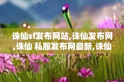 诛仙sf发布网站,诛仙发布网,诛仙 私服发布网最新,诛仙发布网