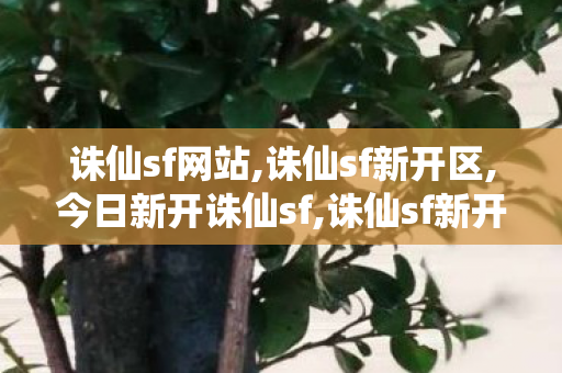 诛仙sf网站,诛仙sf新开区,今日新开诛仙sf,诛仙sf新开区