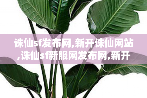 诛仙sf发布网,新开诛仙网站,诛仙sf新服网发布网,新开诛仙网站