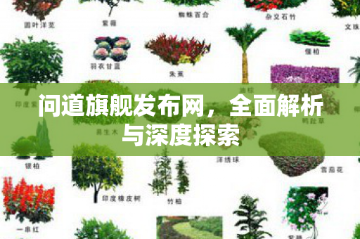 问道旗舰发布网，全面解析与深度探索