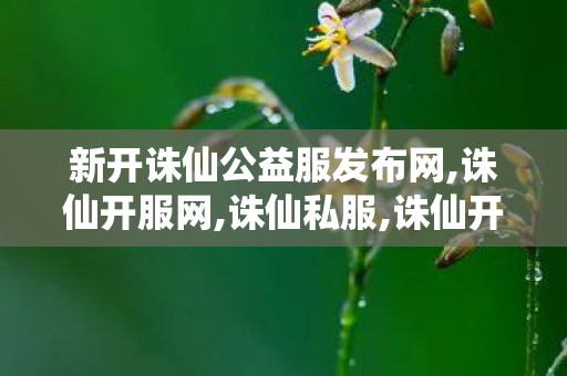 新开诛仙公益服发布网,诛仙开服网,诛仙私服,诛仙开服网
