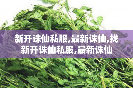 新开诛仙私服,最新诛仙,找新开诛仙私服,最新诛仙