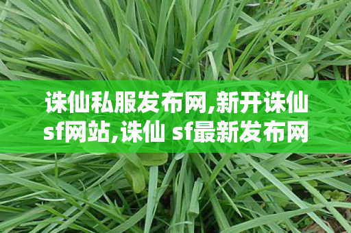 诛仙私服发布网,新开诛仙sf网站,诛仙 sf最新发布网站,新开诛仙sf网站