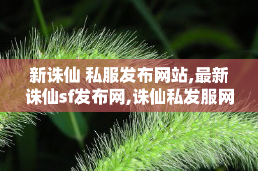 新诛仙 私服发布网站,最新诛仙sf发布网,诛仙私发服网站,最新诛仙sf发布网