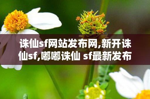 诛仙sf网站发布网,新开诛仙sf,嘟嘟诛仙 sf最新发布网,新开诛仙sf