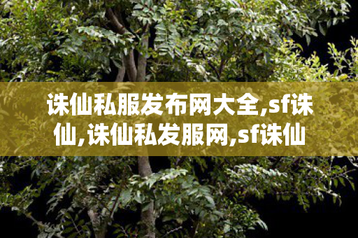 诛仙私服发布网大全,sf诛仙,诛仙私发服网,sf诛仙