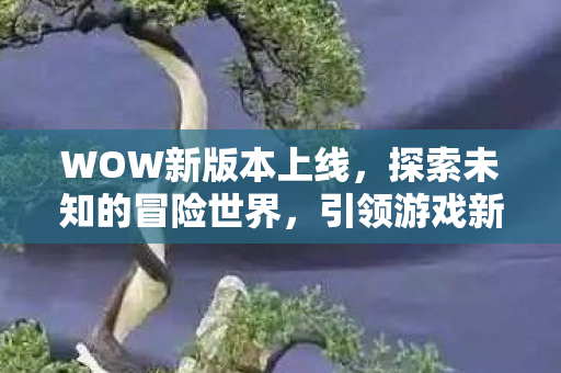 WOW新版本上线，探索未知的冒险世界，引领游戏新潮流