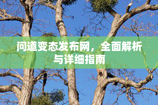 问道变态发布网，全面解析与详细指南