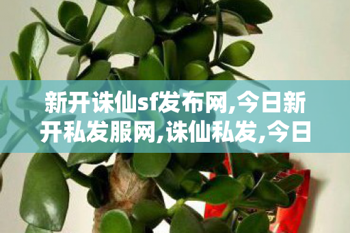 新开诛仙sf发布网,今日新开私发服网,诛仙私发,今日新开私发服网