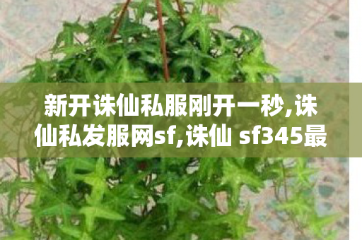 新开诛仙私服刚开一秒,诛仙私发服网sf,诛仙 sf345最新发布网,诛仙私发服网sf