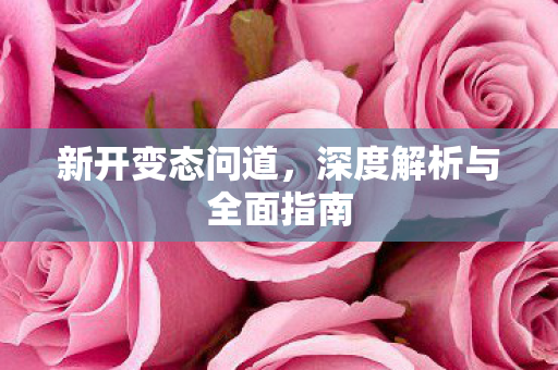 新开变态问道，深度解析与全面指南