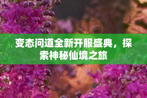 变态问道全新开服盛典，探索神秘仙境之旅