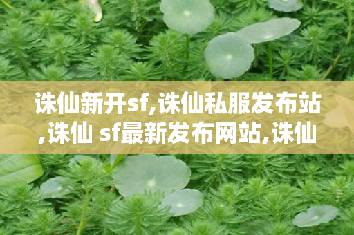 诛仙新开sf,诛仙私服发布站,诛仙 sf最新发布网站,诛仙私服发布站