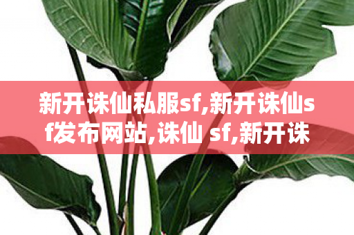 新开诛仙私服sf,新开诛仙sf发布网站,诛仙 sf,新开诛仙sf发布网站