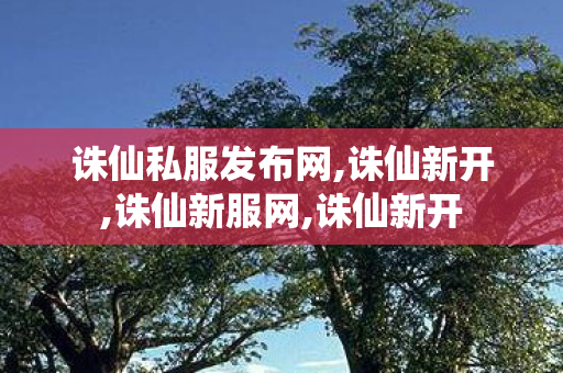 诛仙私服发布网,诛仙新开,诛仙新服网,诛仙新开