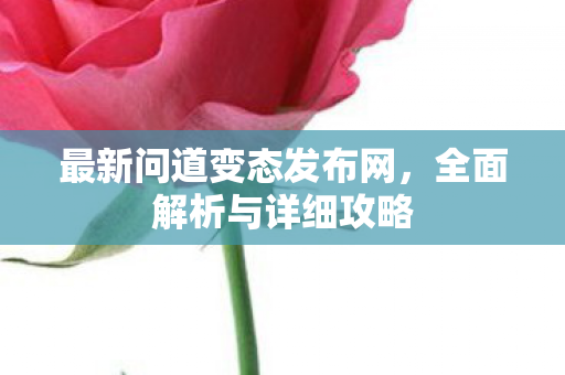 最新问道变态发布网，全面解析与详细攻略