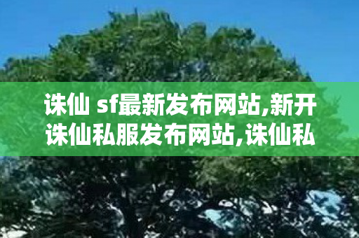 诛仙 sf最新发布网站,新开诛仙私服发布网站,诛仙私服网站,新开诛仙私服发布网站