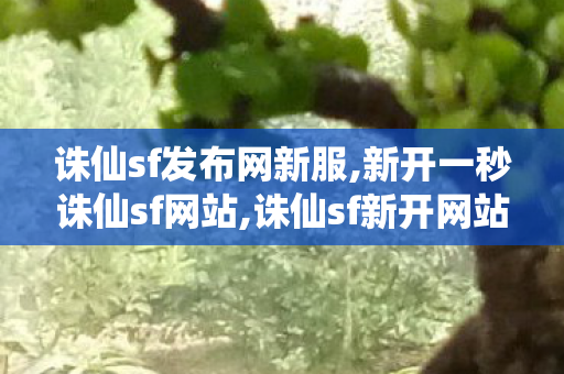 诛仙sf发布网新服,新开一秒诛仙sf网站,诛仙sf新开网站,新开一秒诛仙sf网站
