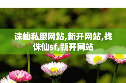 诛仙私服网站,新开网站,找诛仙sf,新开网站