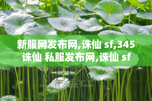 新服网发布网,诛仙 sf,345诛仙 私服发布网,诛仙 sf