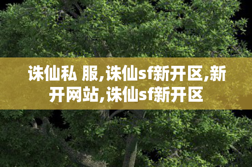 诛仙私 服,诛仙sf新开区,新开网站,诛仙sf新开区