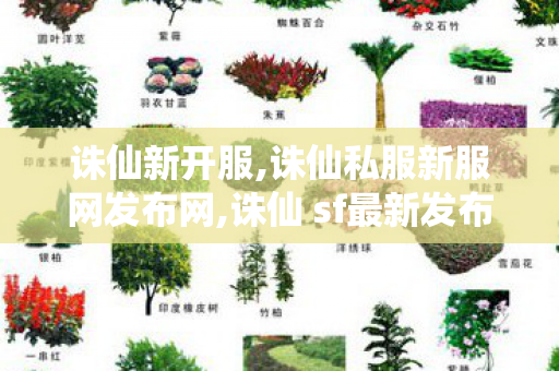诛仙新开服,诛仙私服新服网发布网,诛仙 sf最新发布网,诛仙私服新服网发布网