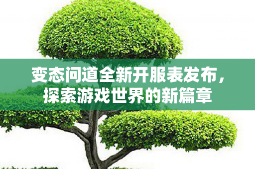 变态问道全新开服表发布，探索游戏世界的新篇章