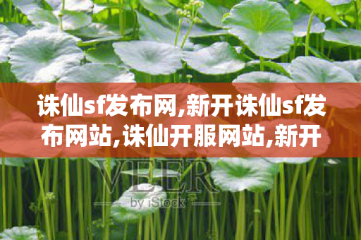诛仙sf发布网,新开诛仙sf发布网站,诛仙开服网站,新开诛仙sf发布网站