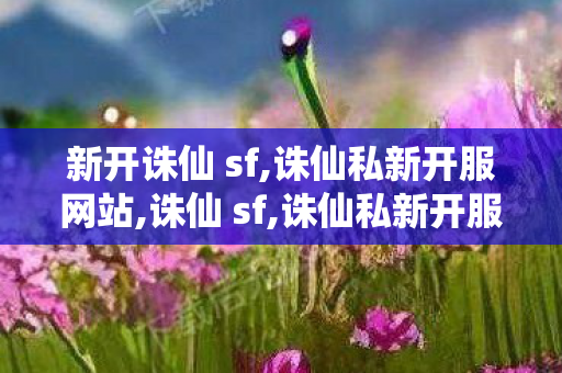 新开诛仙 sf,诛仙私新开服网站,诛仙 sf,诛仙私新开服网站