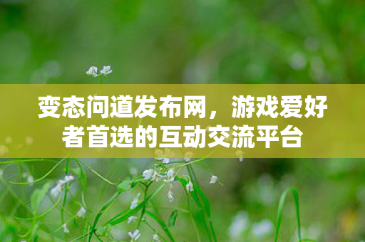 变态问道发布网，游戏爱好者首选的互动交流平台